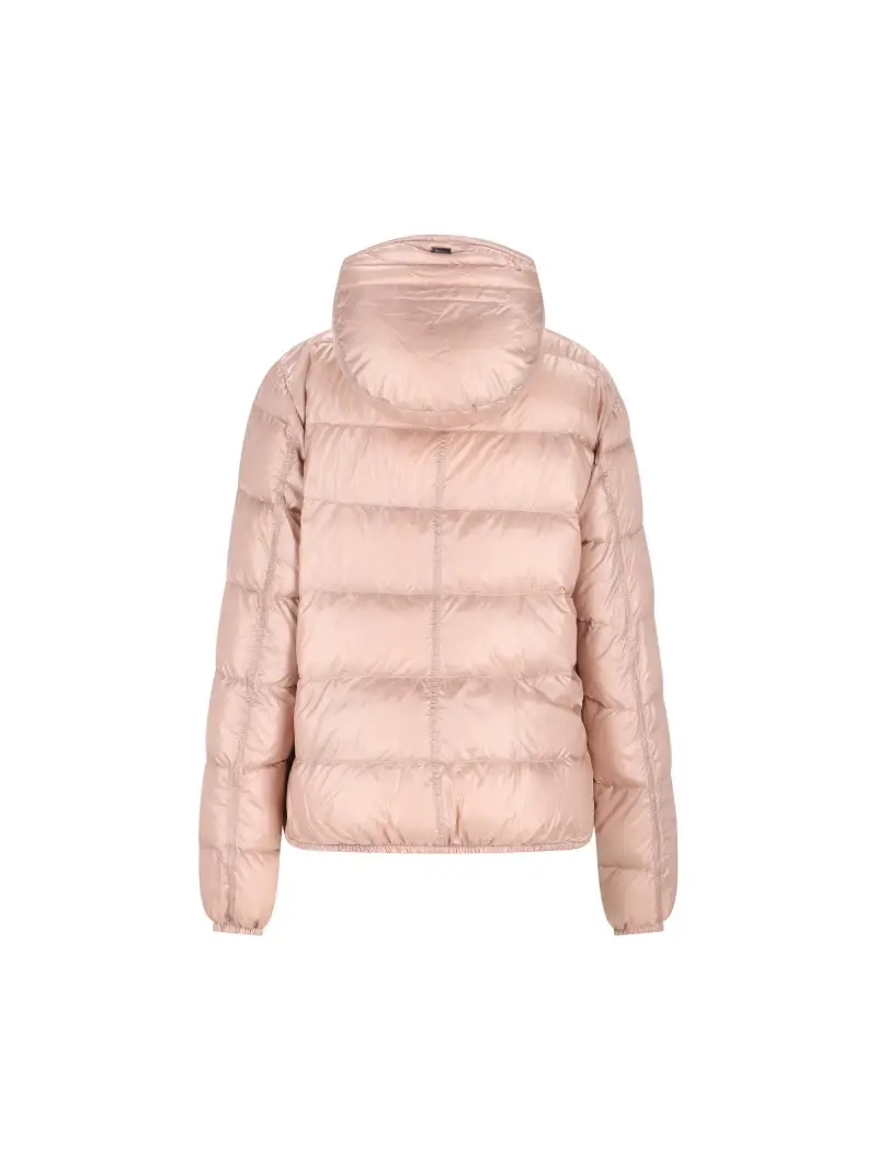 PI002062D120174040 ROSA miniatura 2