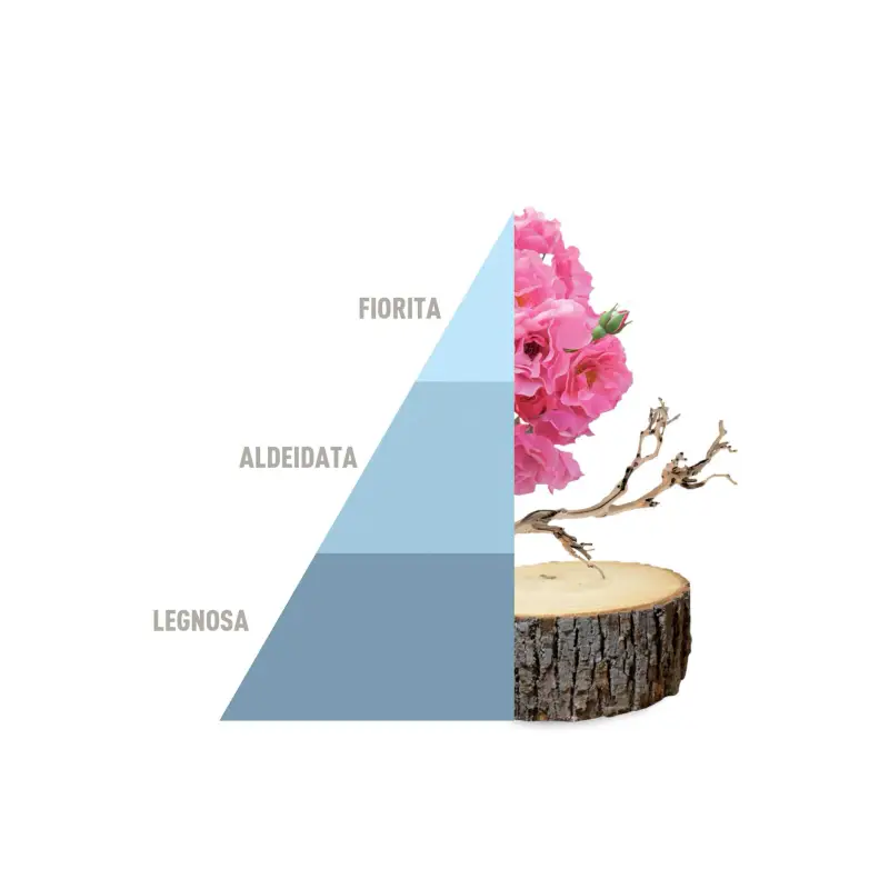 Profuma Bucato Profumo Per Bucato Fresh Cotton - Igienizzanti e sicurezza miniatura 2