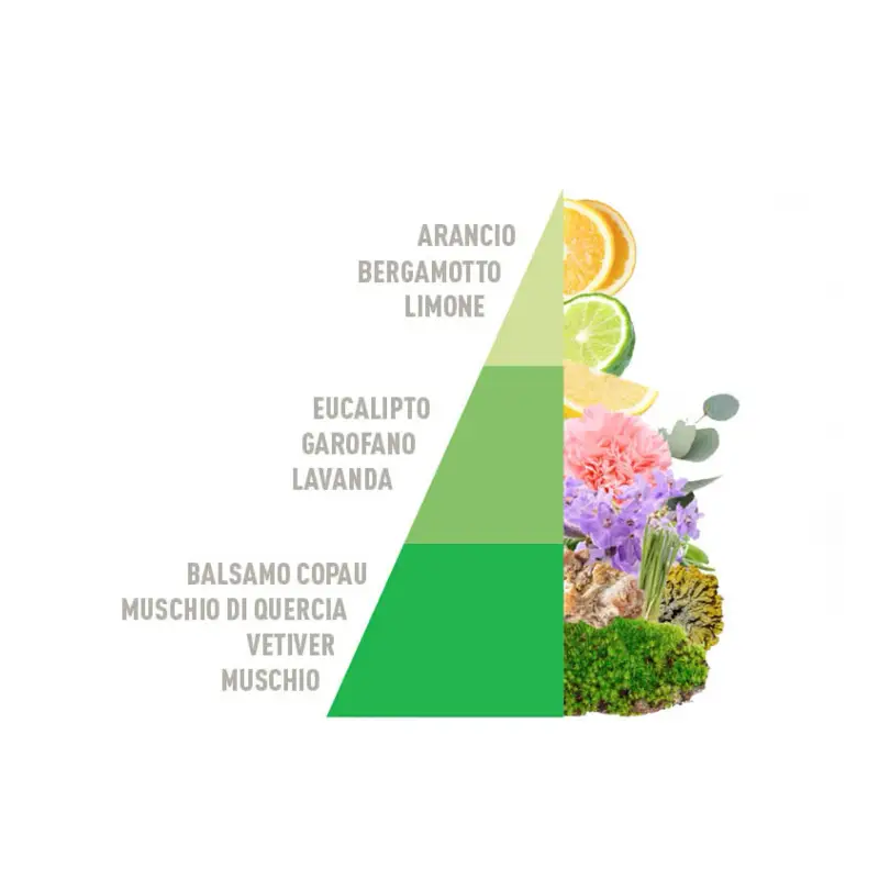 Profuma Bucato Profumo Per Bucato Frsh Odour Control - Igienizzanti e sicurezza miniatura 2