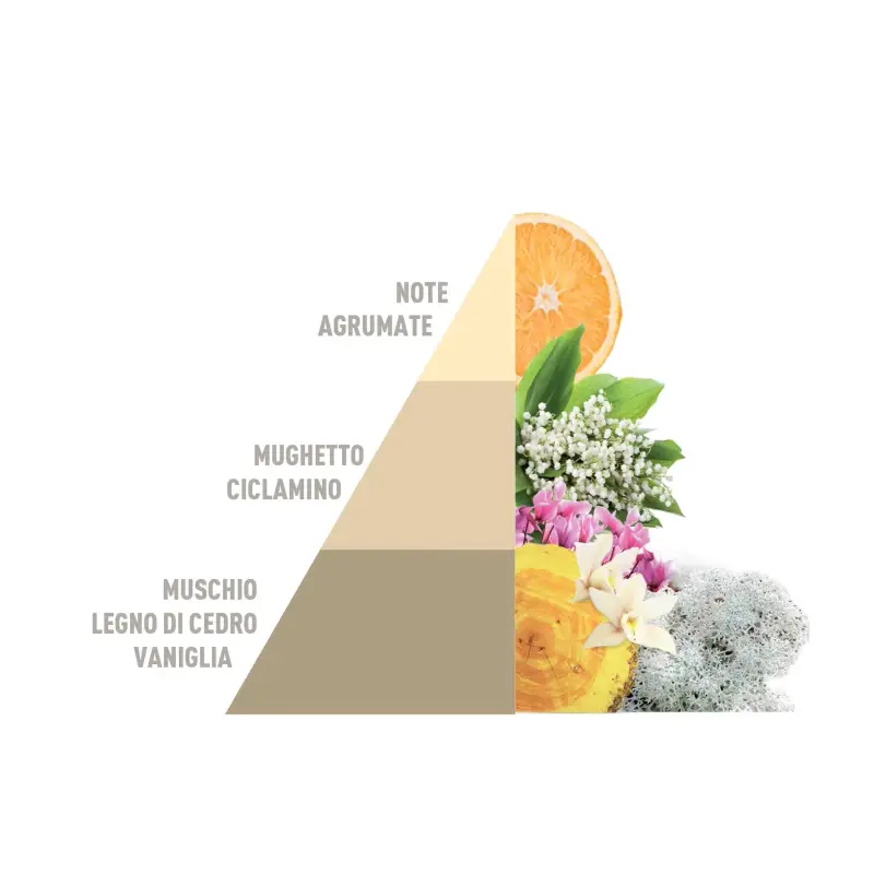 Profuma Bucato Profumo Per Bucato Horotwins Gold - Argan - Igienizzanti e sicurezza miniatura 3