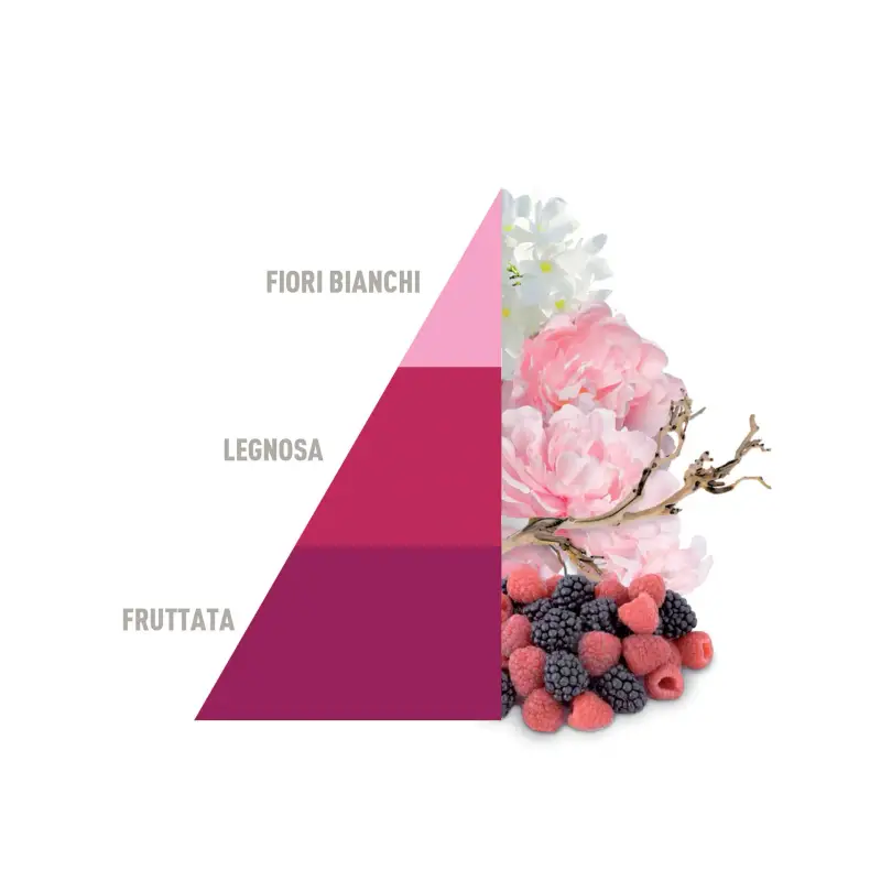 Profuma Bucato Profumo Per Bucato Petali Di Peonia - Igienizzanti e sicurezza miniatura 2