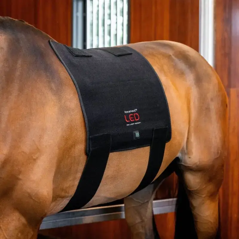 Tappeto da sella terapeutico Horseware