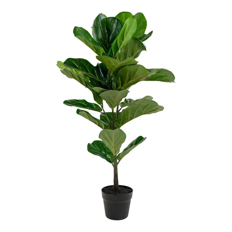 Pianta artificiale House Nordic Fiddle Leaf