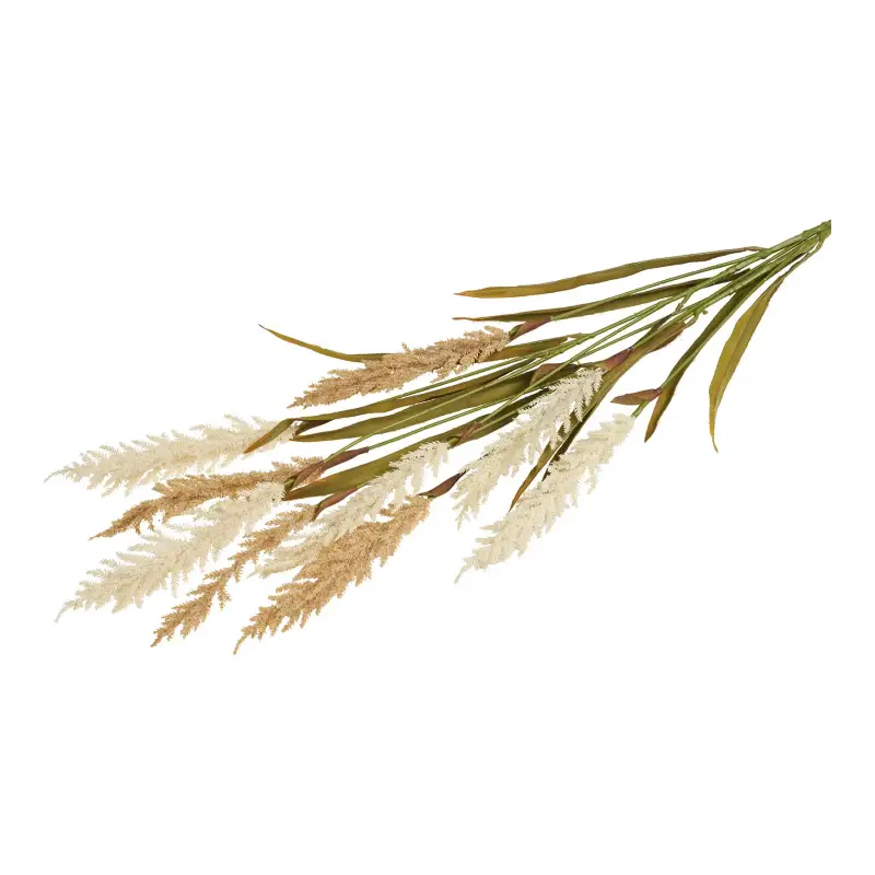 Pianta da interno House Nordic