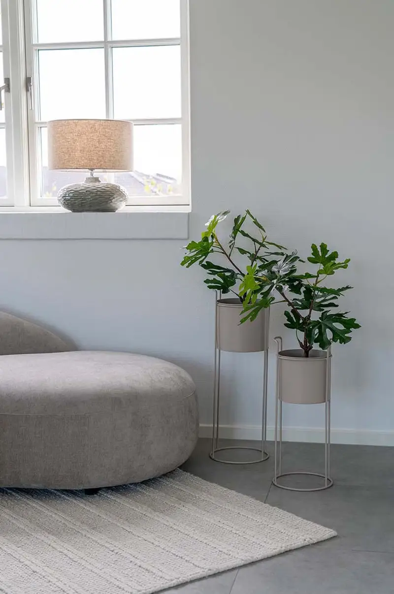 vaso da fiori con telaio Rabo 18 x 50 / 21, 5 x 65 cm pacco da 2 Beige miniatura 4