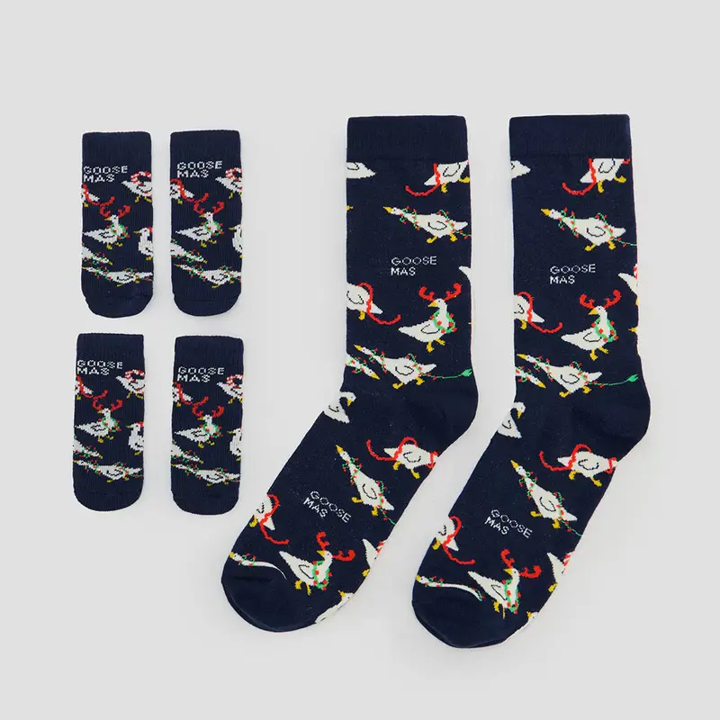 Set di calzini per animale e proprietario