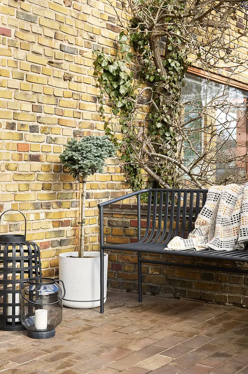 pleid Multicolore miniatura 4