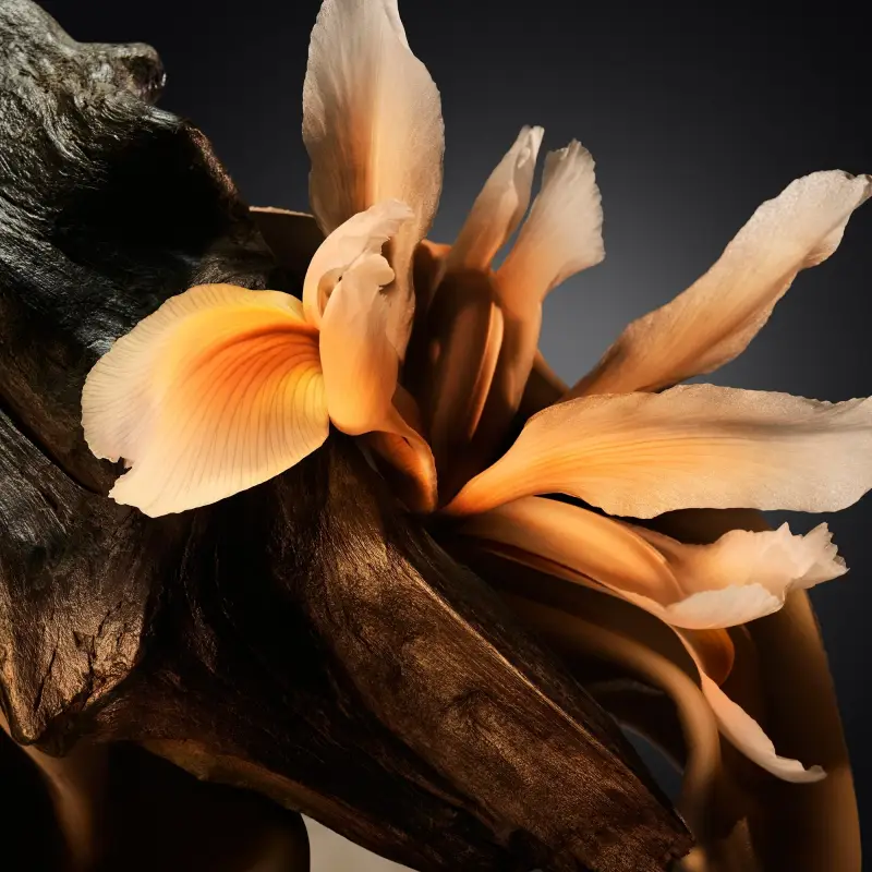 Hugo Boss Eau de Parfum Uomo Verde 3016881 miniatura 5