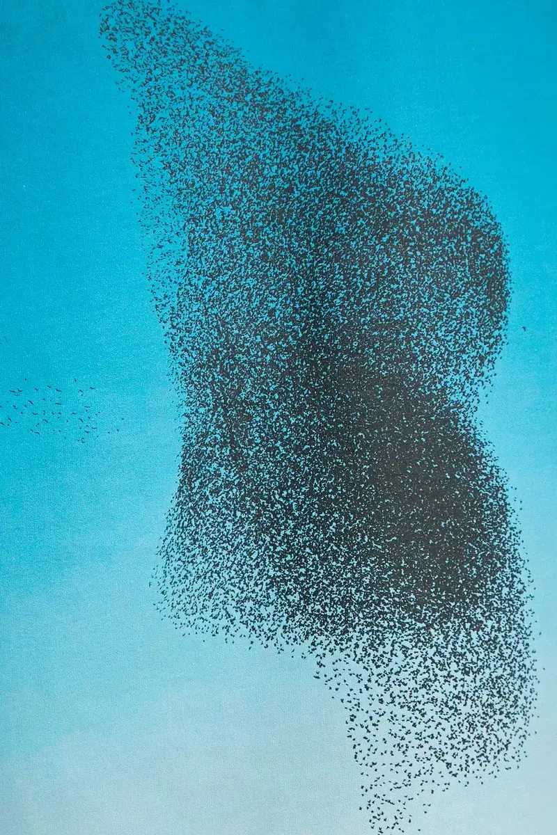 HUGO T-shirt Uomo Nero 3646508 miniatura 5