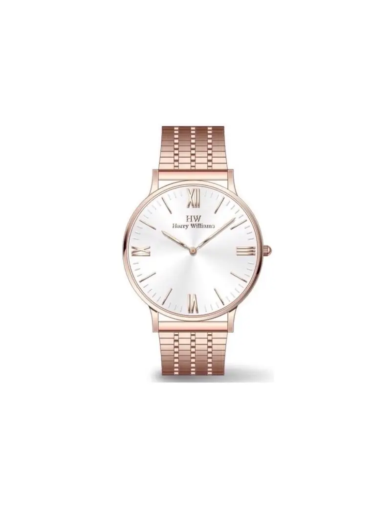 Orologio HW Gent Harry Williams stainless steel - HW2402M/07M