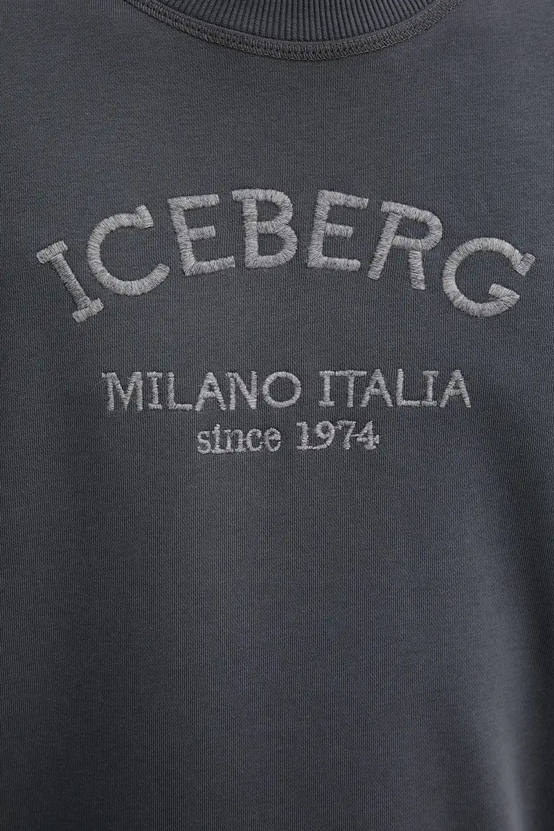 felpa uomo colore grigio con applicazione E030 6317 miniatura 5