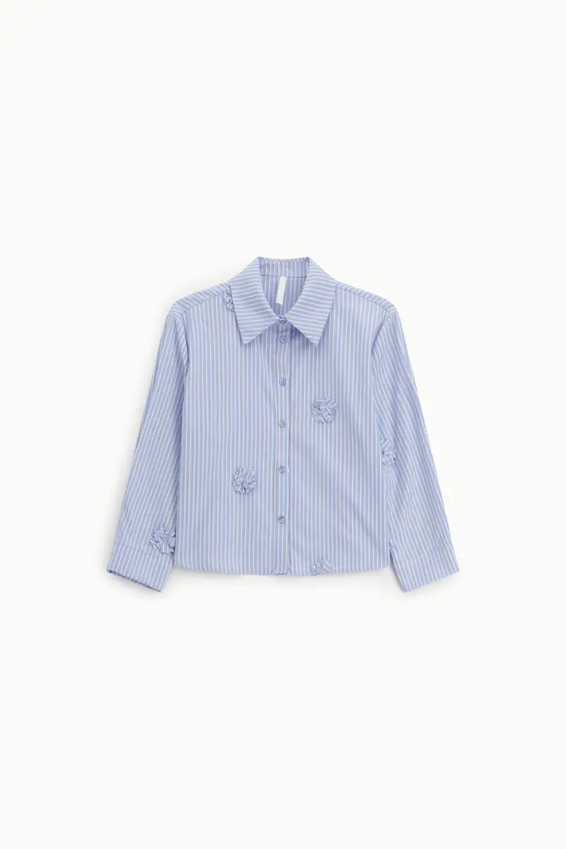 Camicia a righe con dettagli floreali applicati Azzurro