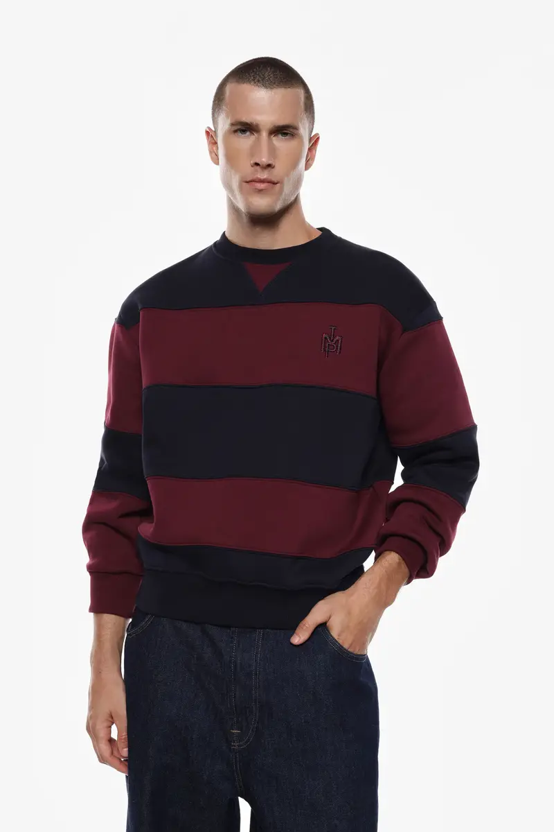 Felpa a righe con maniche lunghe Blu