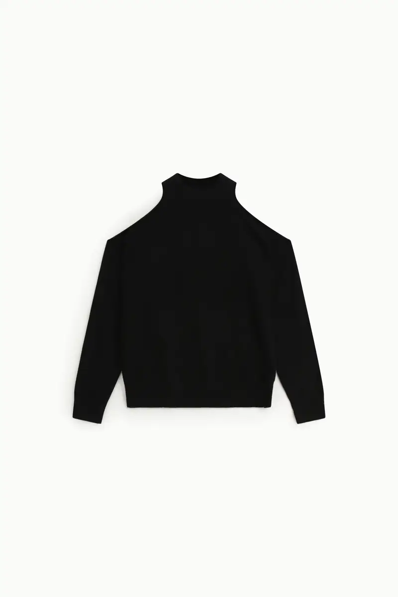 Maglione dolcevita a maniche lunghe regolare Nero