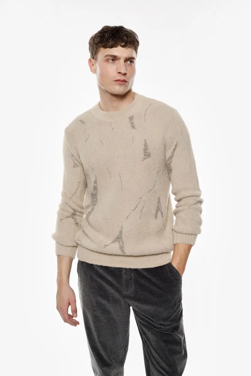 Maglione girocollo stampa astratta Beige miniatura 2