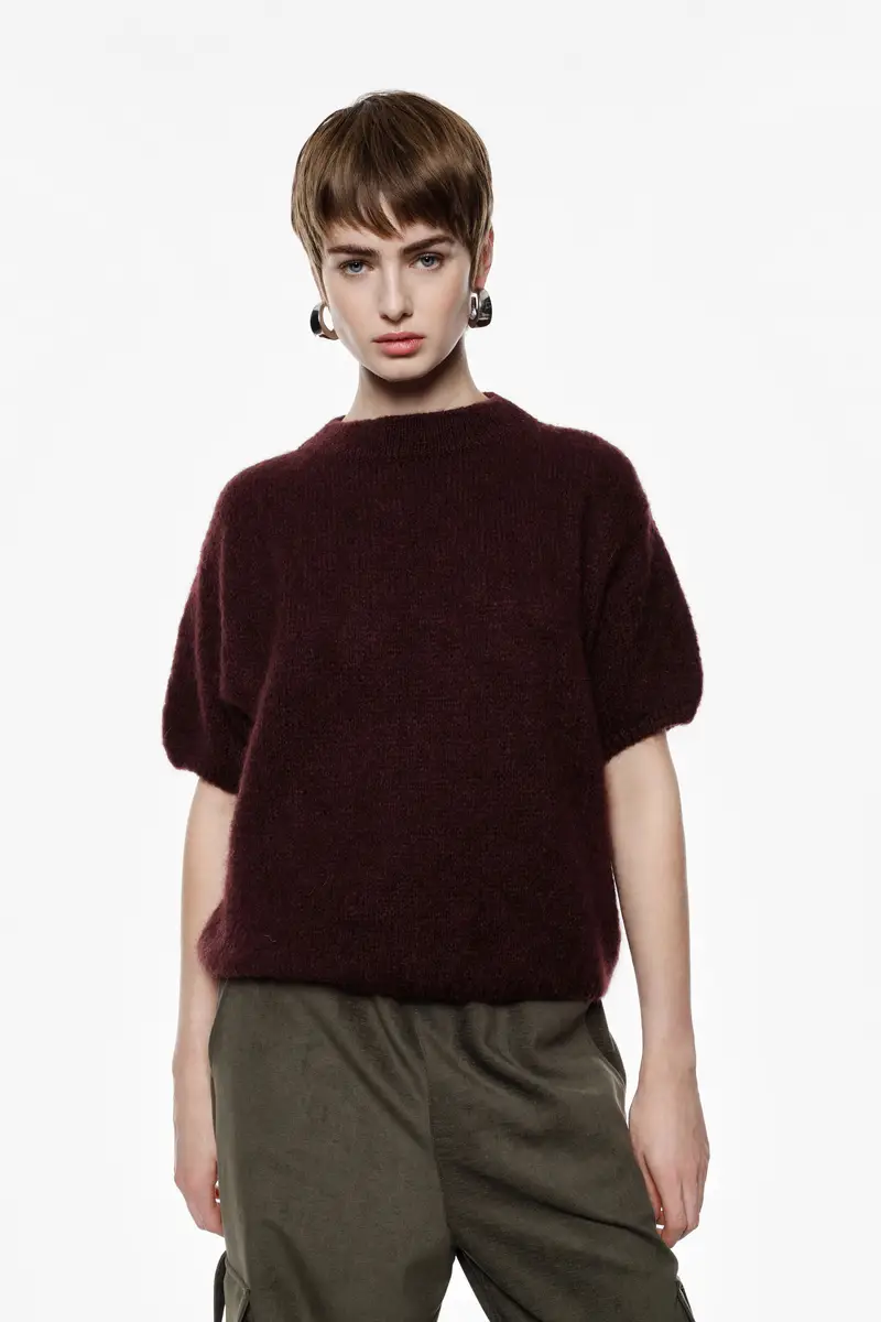 Maglione maniche corte tinta unita Prugna miniatura 2