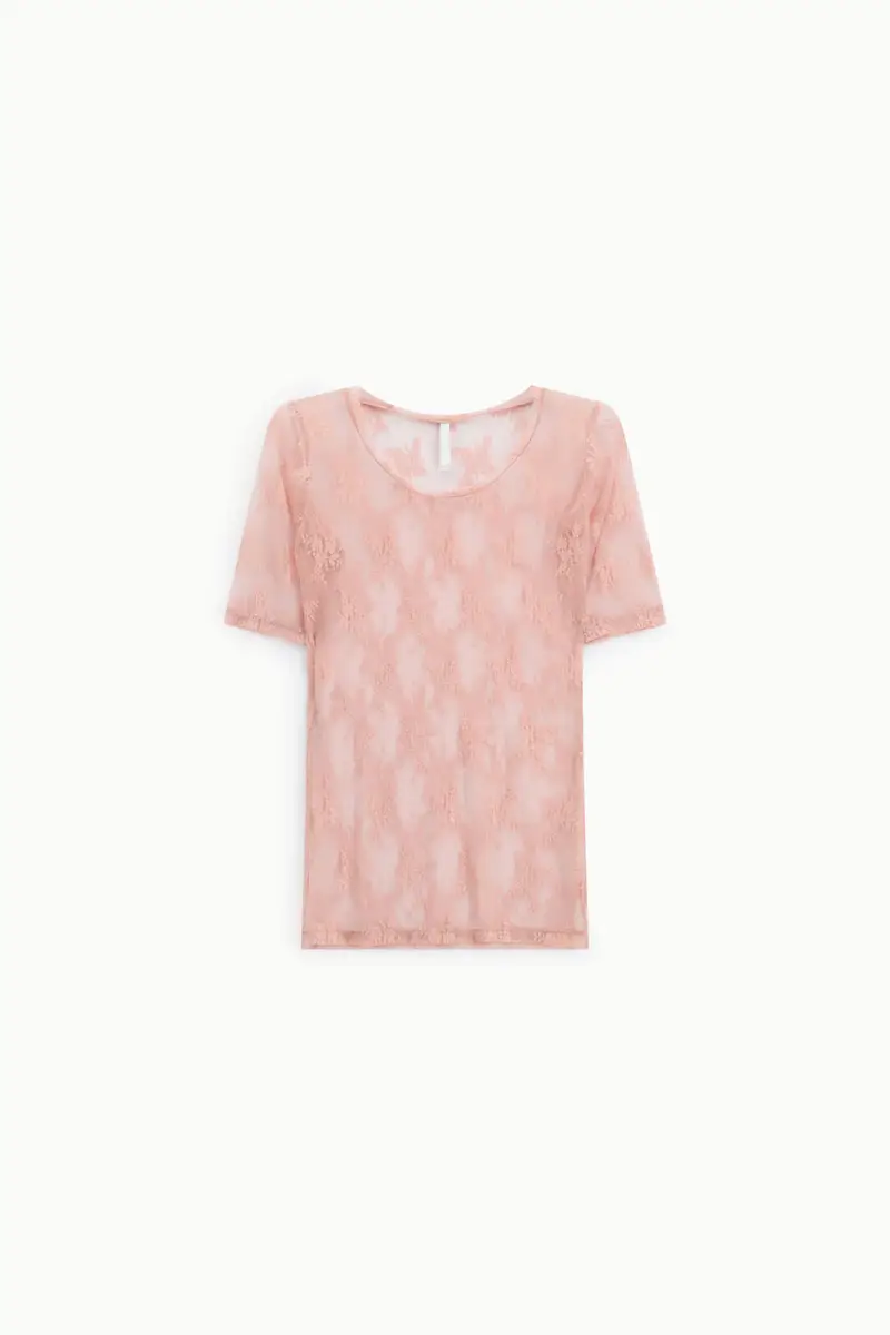 T-shirt trasparente ricamata manica corta girocollo Cipria