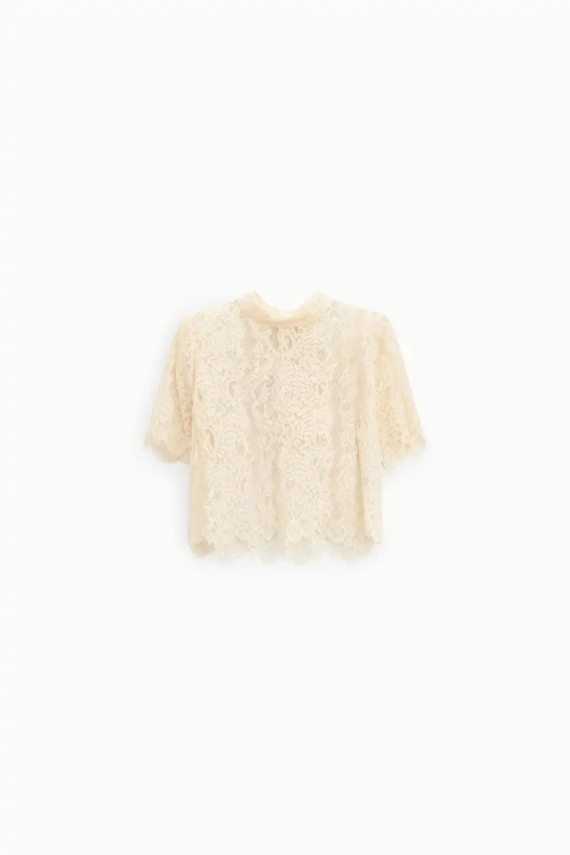 Top corto in pizzo con maniche corte e collo alto Gesso