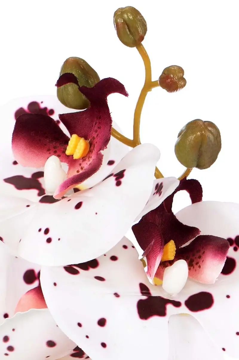 finta pianta Orchidea pacco da 10 Multicolore miniatura 3