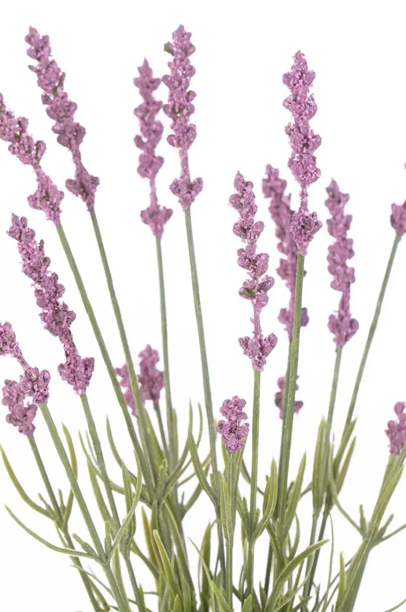 fiori finti Lawenda pacco da 10 Multicolore miniatura 3