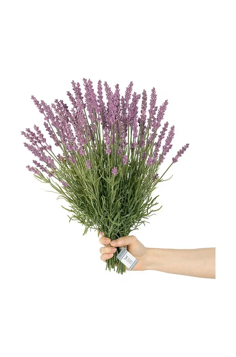 fiori finti Lawenda pacco da 10 Multicolore