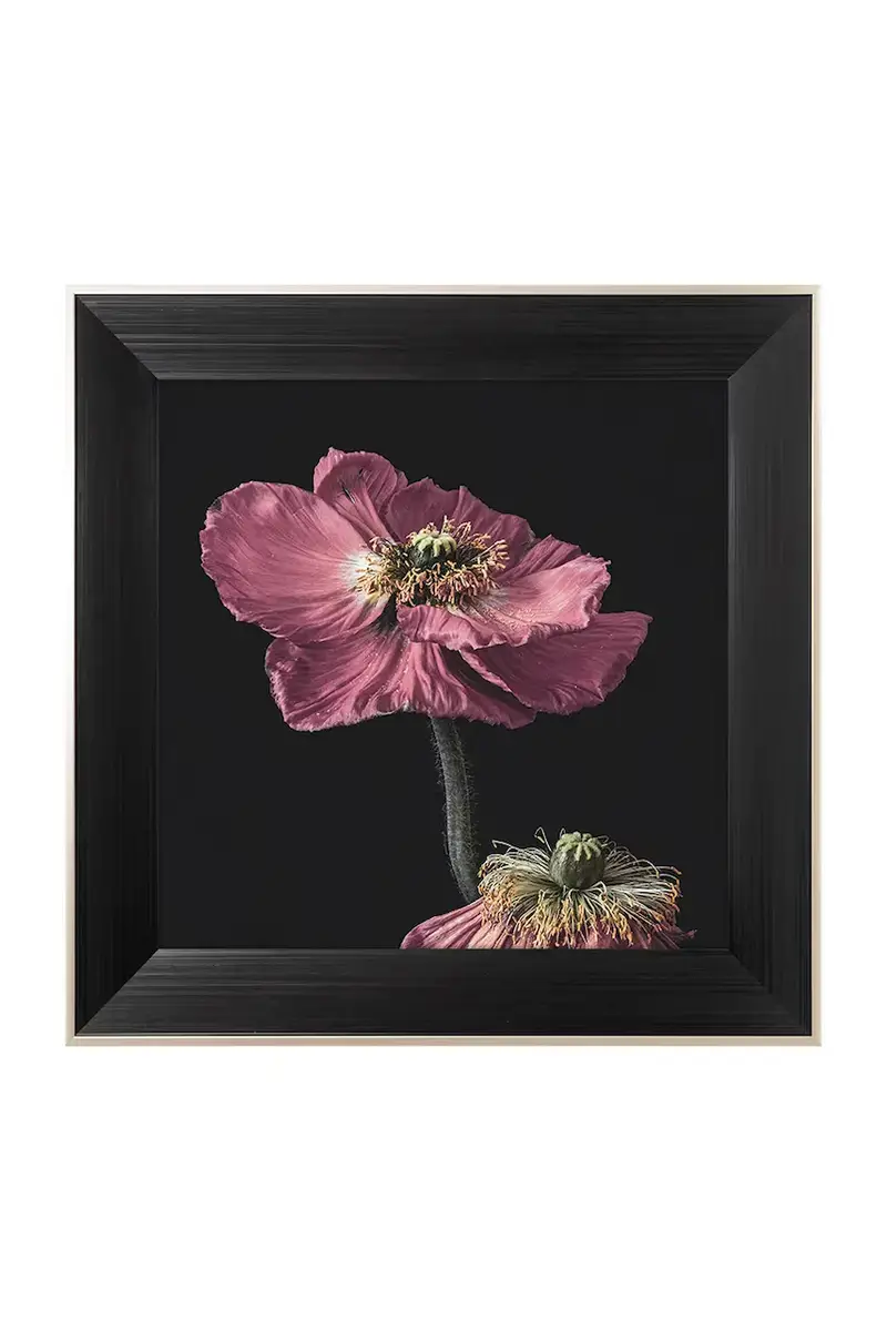 home & lifestyle decorazione da parete in cornice ARTISTIC FLOWER NO.1 50 x 50 cm Multicolore