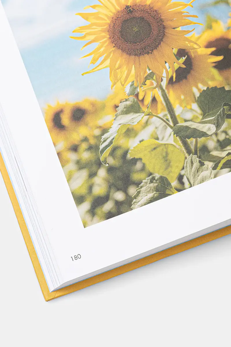 home & lifestyle libro fotografico The Art of Danish Living by Meik Wiking, English multicolore miniatura 2