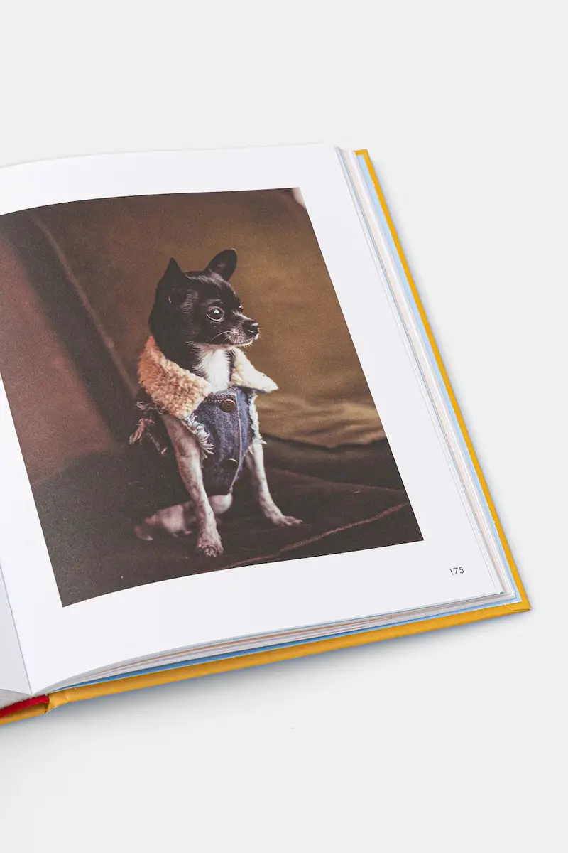 home & lifestyle libro fotografico The Art of Danish Living by Meik Wiking, English multicolore miniatura 4