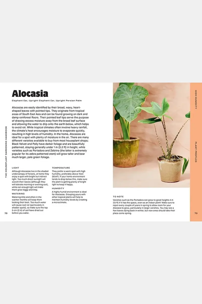 home & lifestyle libro Houseplant Handbook by Maddie and Alice Bailey, English colore turchese miniatura 3