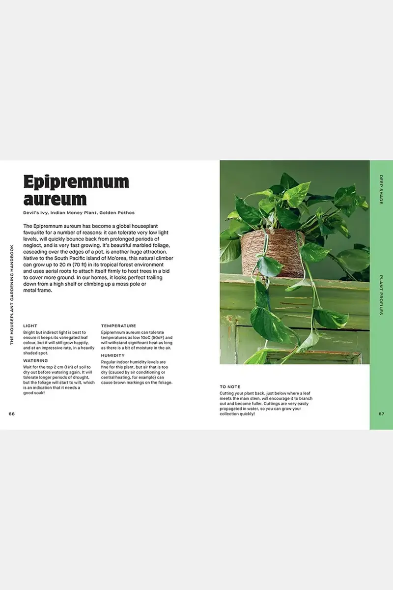 home & lifestyle libro Houseplant Handbook by Maddie and Alice Bailey, English colore turchese miniatura 4