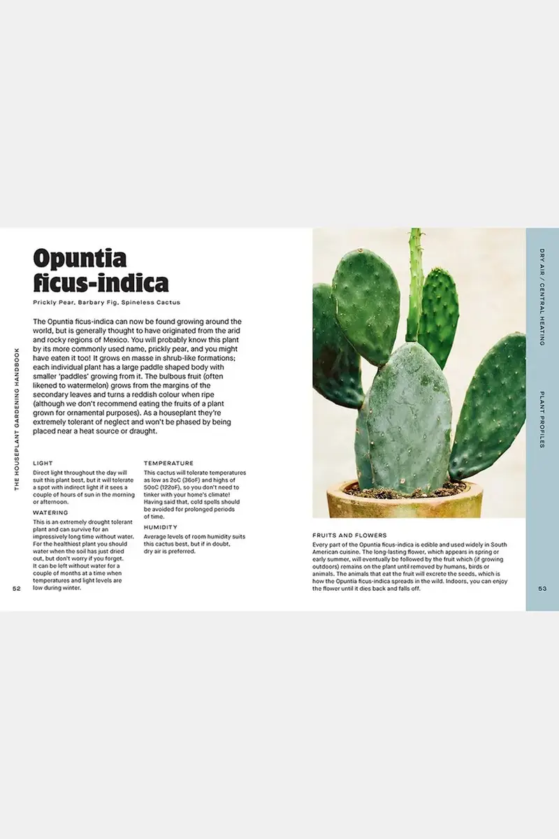 home & lifestyle libro Houseplant Handbook by Maddie and Alice Bailey, English colore turchese miniatura 5