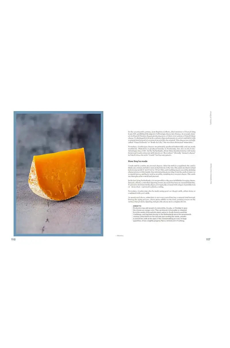 home & lifestyle libro The Complete Book of Cheese by Anne-Laure Pham, English Multicolore miniatura 3