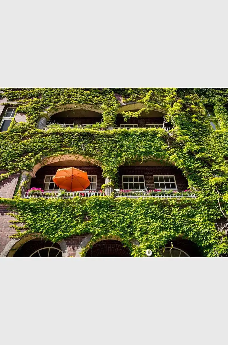 QeeBoo libro Urban Oasis Parks and Green Projects around the World, Jessica Jungbauer, English Multicolore miniatura 2