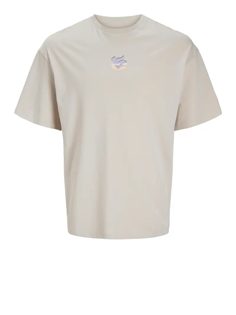 JACK & JONES T-shirt Uomo Multicolore 2489768