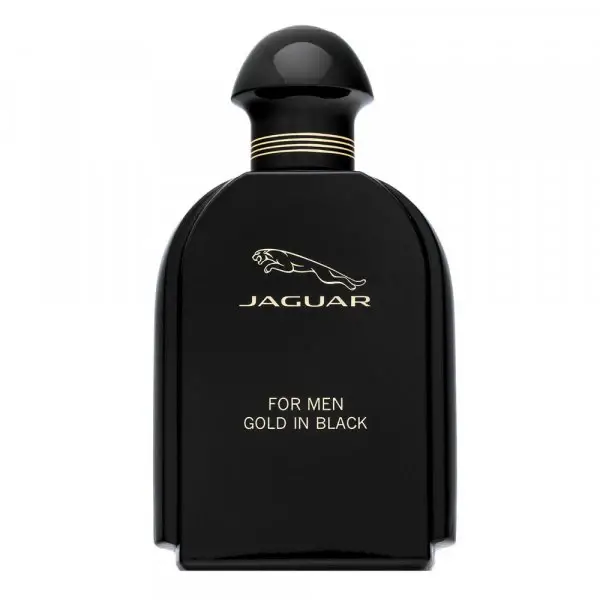 For Men Gold in Black EDT M 100 ml