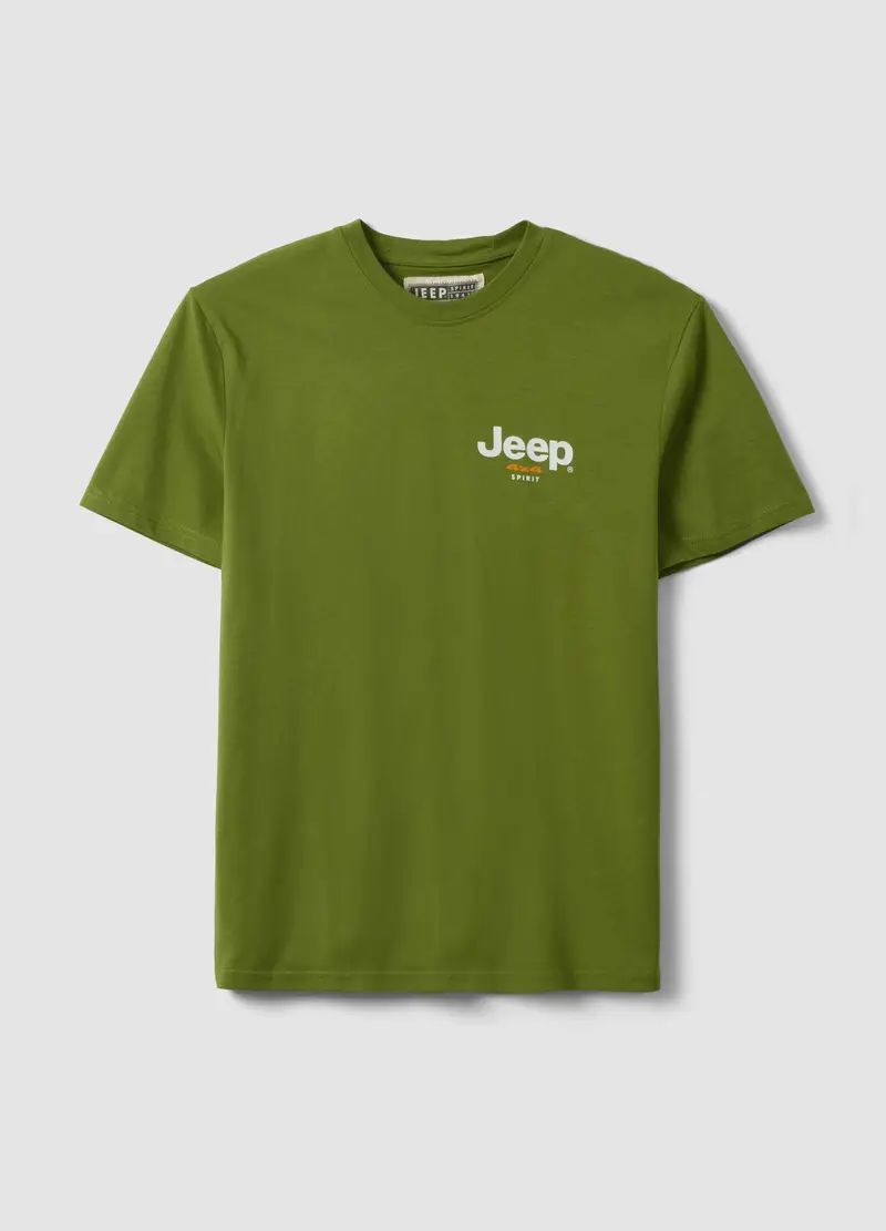 T-shirt In Puro Cotone Verde Regular Fit Con Stampa, Uomo, Verde