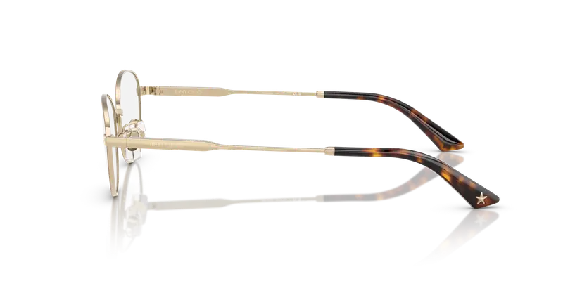 Jimmy Choo Donna JC2009D 3019 Montature da vista Acciaio Marrone Trasparente Rotonda Normale miniatura 3