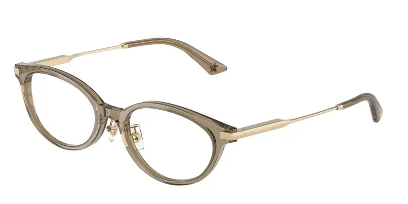 Jimmy Choo Donna JC3029D  5051 Montature da vista Acetato Marrone Trasparente Rotonda Normale