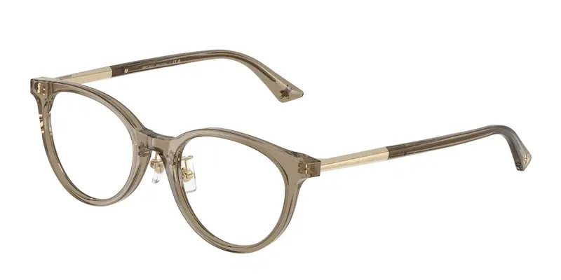 Jimmy Choo Donna JC3039D  5051 Montature da vista Acetato Marrone Trasparente Rotonda Normale