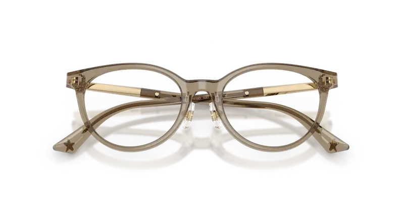 Jimmy Choo Donna JC3039D 5051 Montature da vista Acetato Marrone Trasparente Rotonda Normale miniatura 3