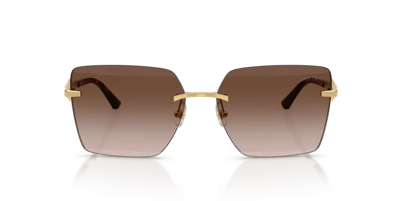 Jimmy Choo Occhiali da sole Donna Marrone 847006 miniatura 2