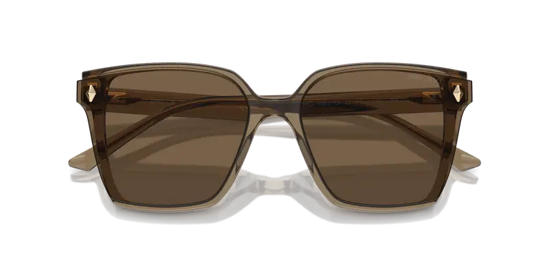 Jimmy Choo Occhiali da sole Donna Marrone 835888 miniatura 2