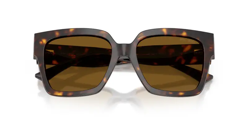 Jimmy Choo Occhiali da sole Donna Marrone 2912973 miniatura 2