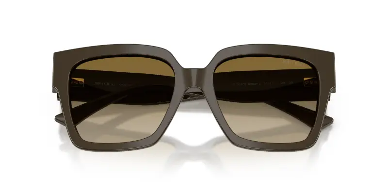 Jimmy Choo Occhiali da sole Donna Marrone 2913069 miniatura 2