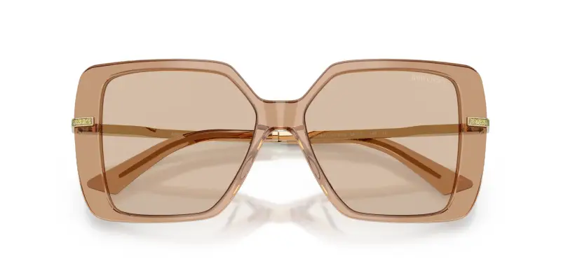 Jimmy Choo Occhiali da sole Donna Marrone 2912503 miniatura 2