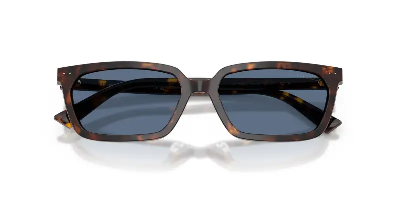 Jimmy Choo Occhiali da sole Donna Blu 2912970 miniatura 2