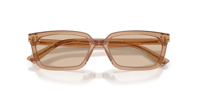 Jimmy Choo Occhiali da sole Donna Marrone 2912502 miniatura 2