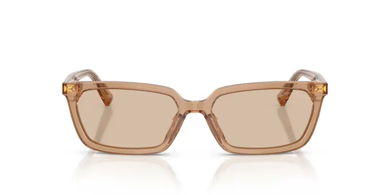 Jimmy Choo Occhiali da sole Donna Marrone 2912502 miniatura 3