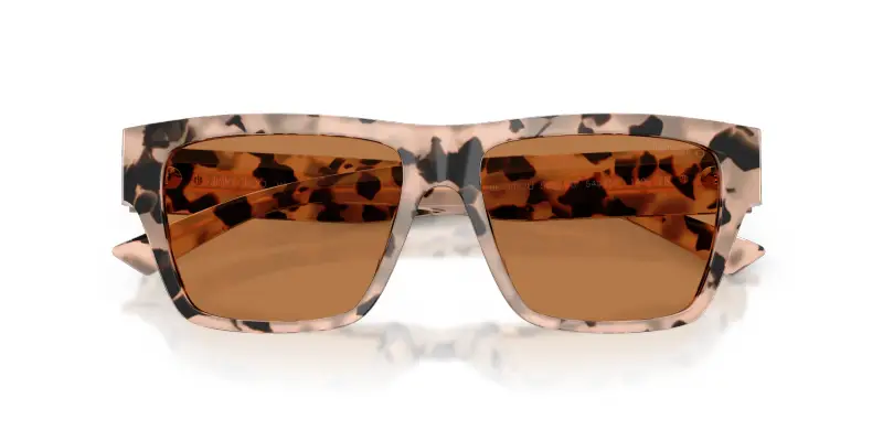 Jimmy Choo Occhiali da sole Donna Marrone 2912968 miniatura 2