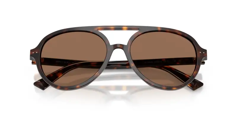 Jimmy Choo Occhiali da sole Donna Marrone 2912966 miniatura 2